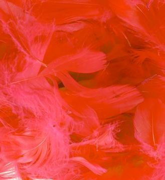 Eleganza Feathers Mixed sizes 3inch-5inch 50g bag Red No.16 - Accessories